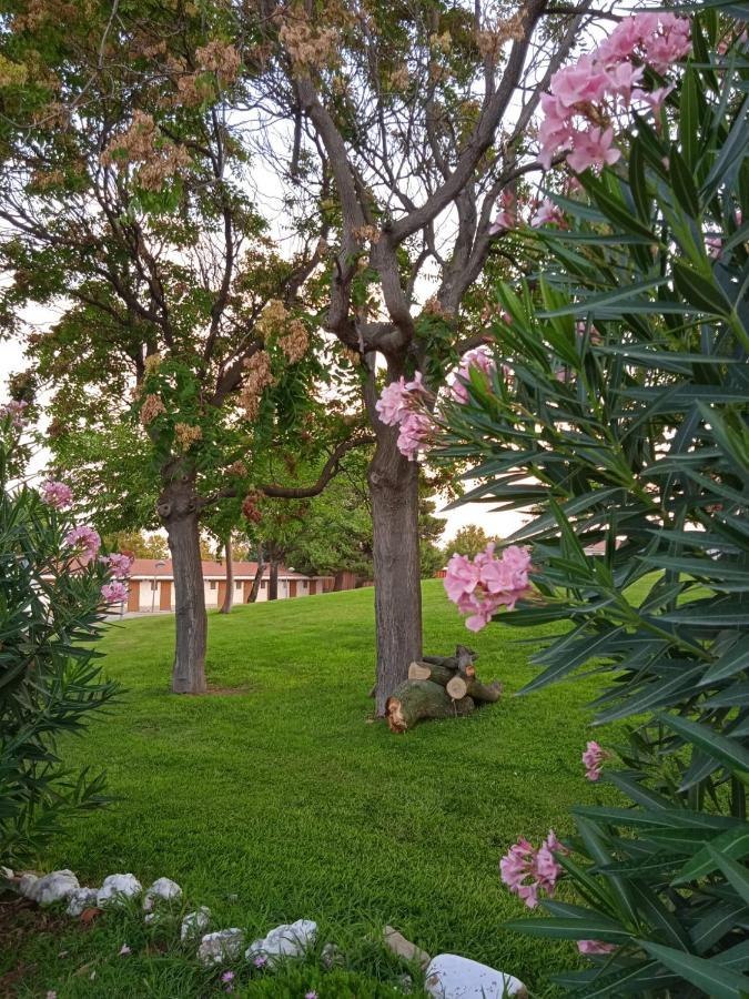 Bungalows Zaragoza Camping מראה חיצוני תמונה
