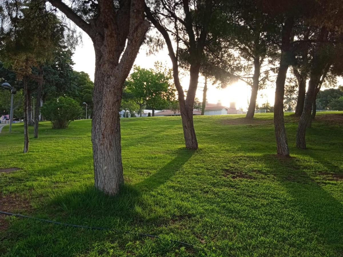 Bungalows Zaragoza Camping מראה חיצוני תמונה