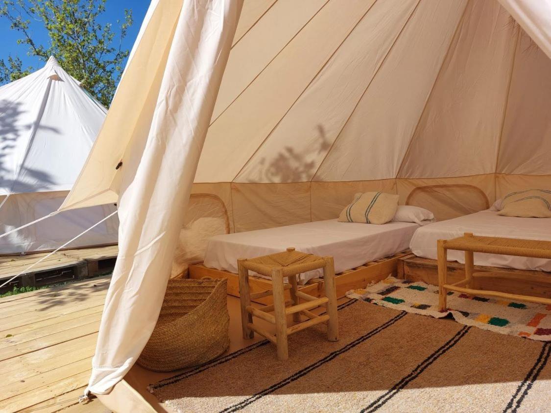 Bungalows Zaragoza Camping מראה חיצוני תמונה